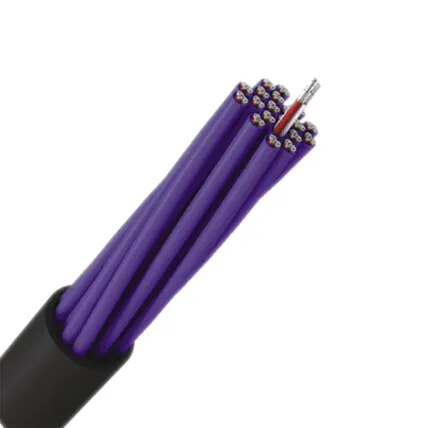 229955-0